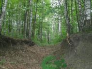 Клин з panoramio.com