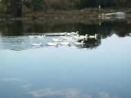 Кіровське з panoramio.com