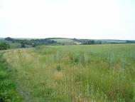 Журівка з panoramio.com