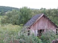 Мечищів з panoramio.com