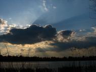 Леськи з panoramio.com - Леськи