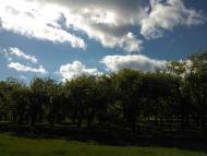 Бабичі з panoramio.com