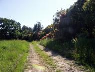 Дністрівка з panoramio.com