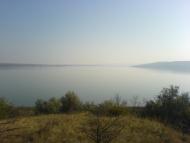 Паліївка з panoramio.com