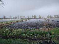 Набережне з panoramio.com