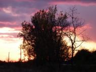 Велика Бакта з panoramio.com