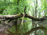 Станове з panoramio.com