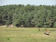 Старосілля з panoramio.com