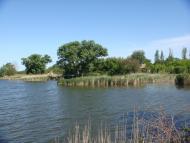 Очеретувате з panoramio.com