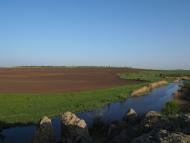 Коколове - Останні фото