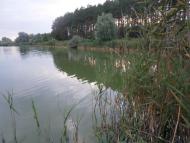 Снігурівка з panoramio.com