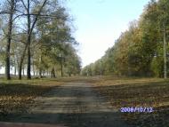 Обложки з panoramio.com