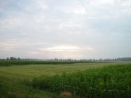 Шевченкове з panoramio.com