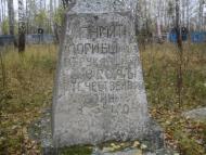 Чоповичі з panoramio.com