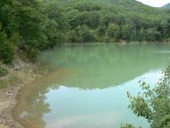 Ворон з panoramio.com - Ворон