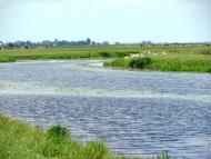 Прислуч з panoramio.com