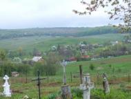 Чижки з panoramio.com