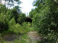 Топільня з panoramio.com