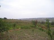 Свердлове з panoramio.com