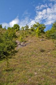 Китайгород з panoramio.com