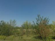 Григорівка з panoramio.com