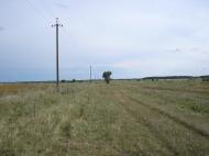 Салтикова Дівиця з panoramio.com - Салтыкова Девица