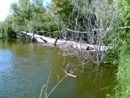 Городище-Косівське - Останні фото