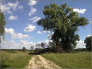 Студинка - Останні фото