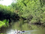 Старосілля з panoramio.com