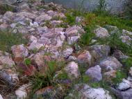 Велика Бакта - Останні фото