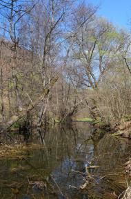 Дубриничі з panoramio.com