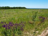 Ходорів з panoramio.com