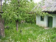 Дубове з panoramio.com