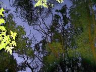 Суворовське з panoramio.com