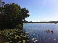 Дорошівка з panoramio.com