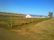 Схід з panoramio.com