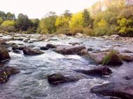 Березна з panoramio.com