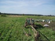 Бухарів з panoramio.com