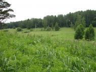 Березово з panoramio.com