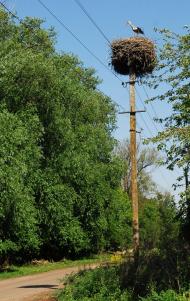 Михайлівка з panoramio.com