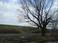 Бондарівщина з panoramio.com