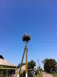 Рижівка з panoramio.com