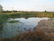 Дігтярі з panoramio.com