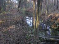 Жупанівка з panoramio.com