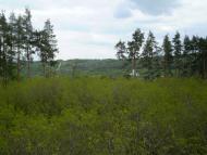 Кримка з panoramio.com