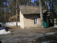 Проліски з panoramio.com