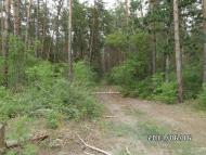 Скрипаї з panoramio.com