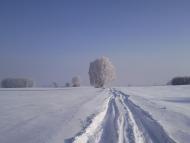 Терехи з panoramio.com