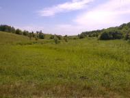 Писарівка з panoramio.com