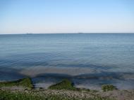 Лугове з panoramio.com